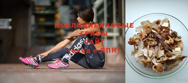трава Лабытнанги