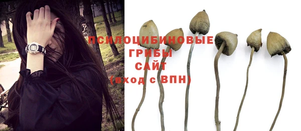 2c-b Липки
